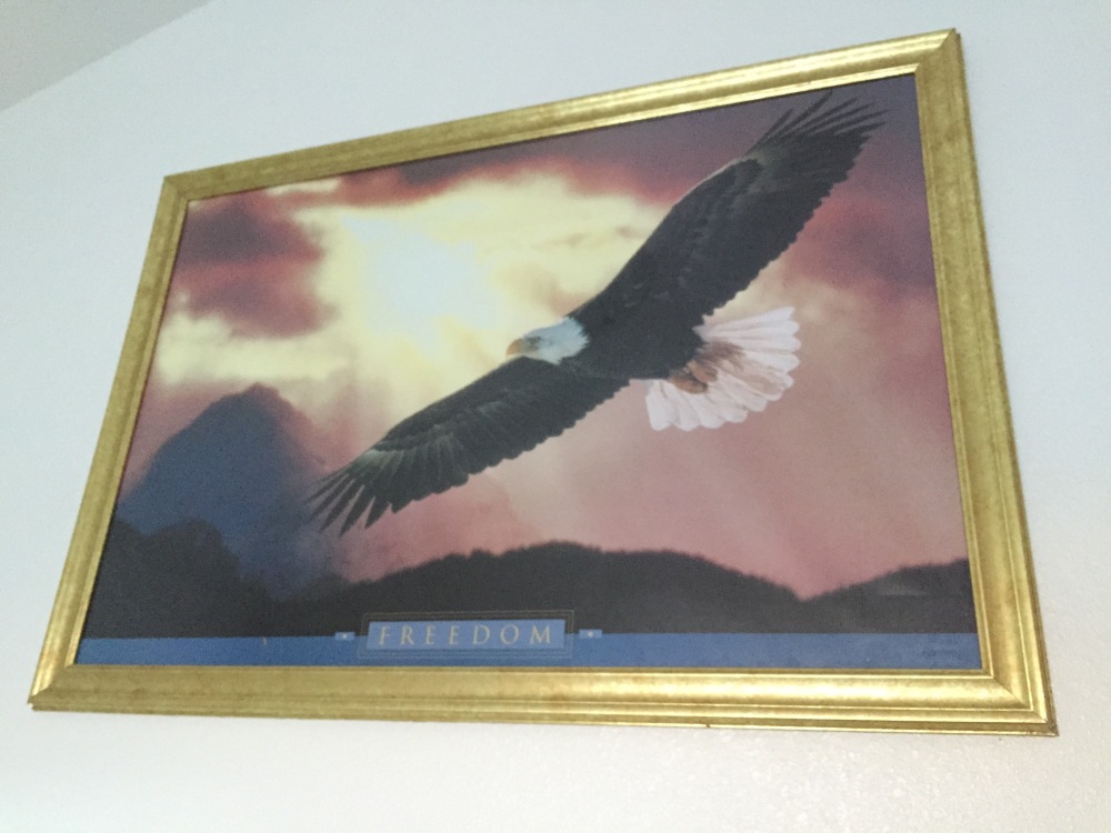 The eagle in our bunk did his best to keep our spirits up.